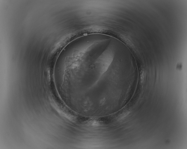X0000111820254200907301303
