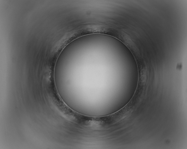 X0000111820255200907301303