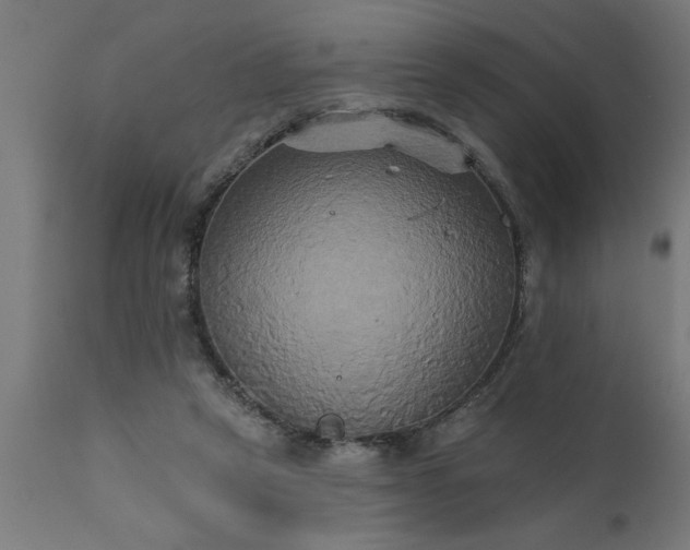 X0000111820257200907301303