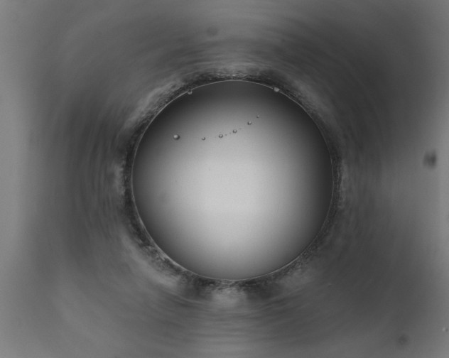 X0000111820258200907301303