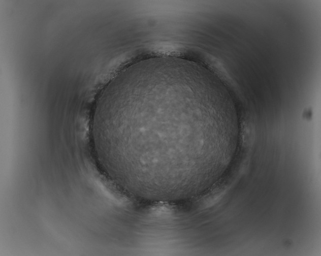 X0000111820259200907301303
