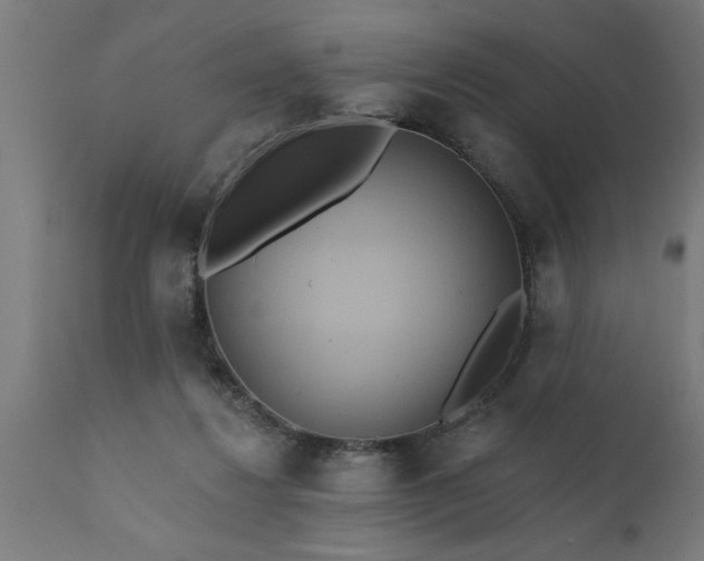 X0000111820260200907301303