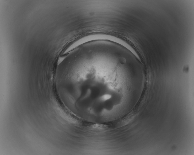 X0000111820261200907301303