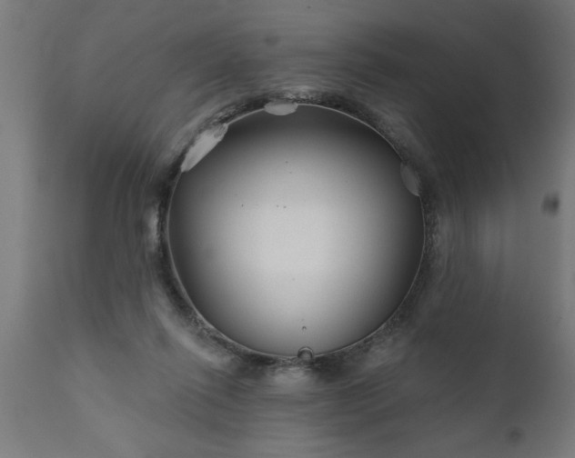 X0000111820262200907301303