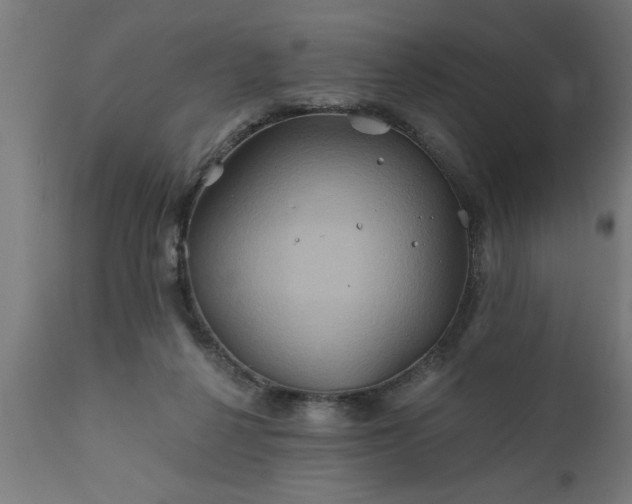 X0000111820264200907301303