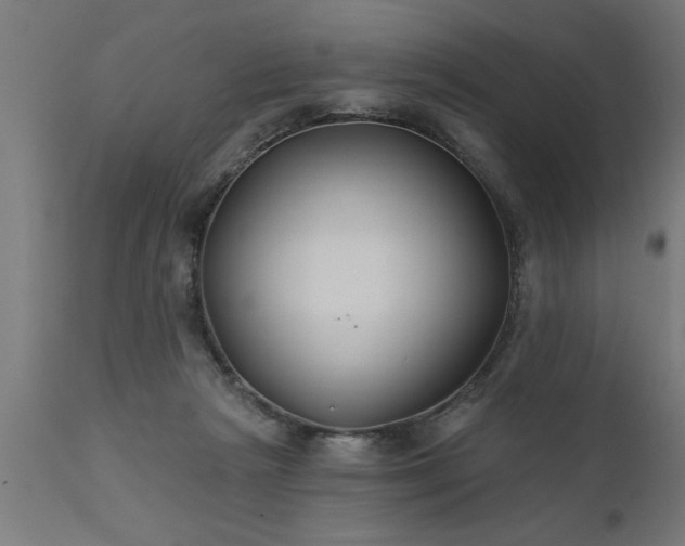 X0000111820265200907301303