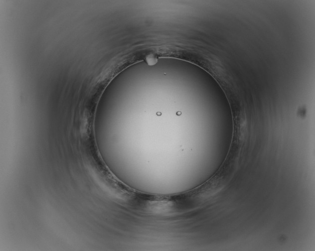 X0000111820266200907301303