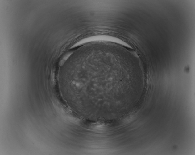 X0000111820267200907301303