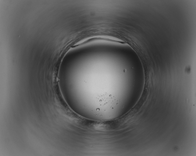 X0000111820268200907301303