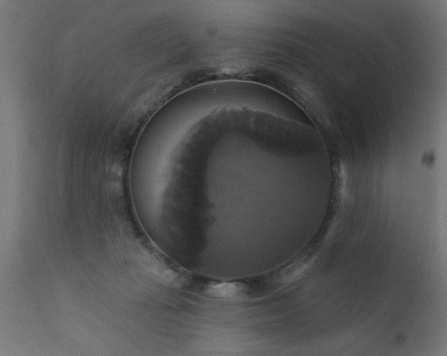 X0000111820269200907301304