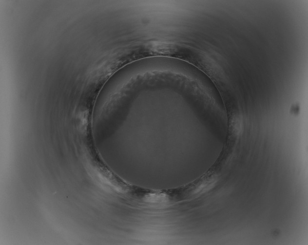 X0000111820271200907301304