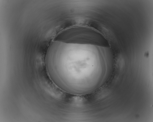 X0000111820272200907301304