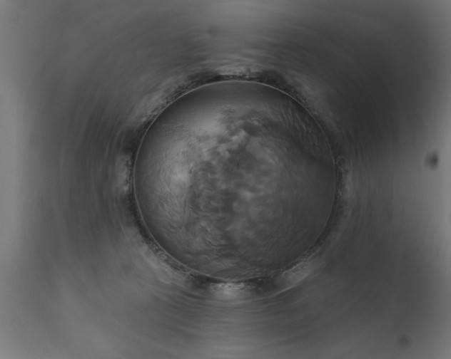 X0000111820273200907301304