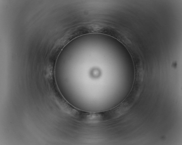 X0000111820274200907301304