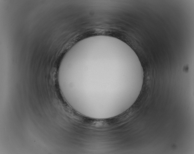 X0000111820275200907301304