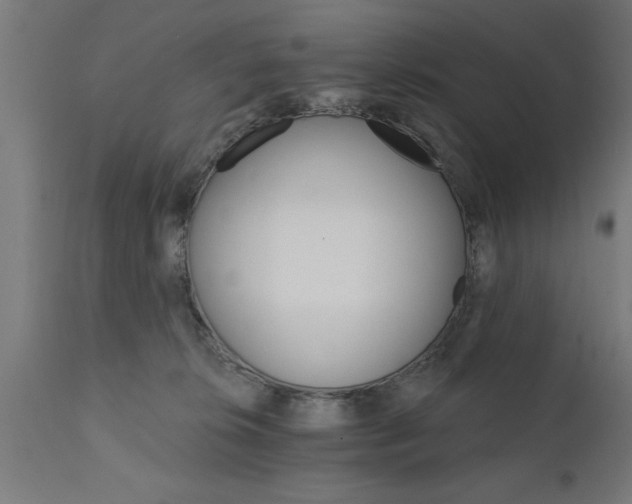 X0000111820276200907301304