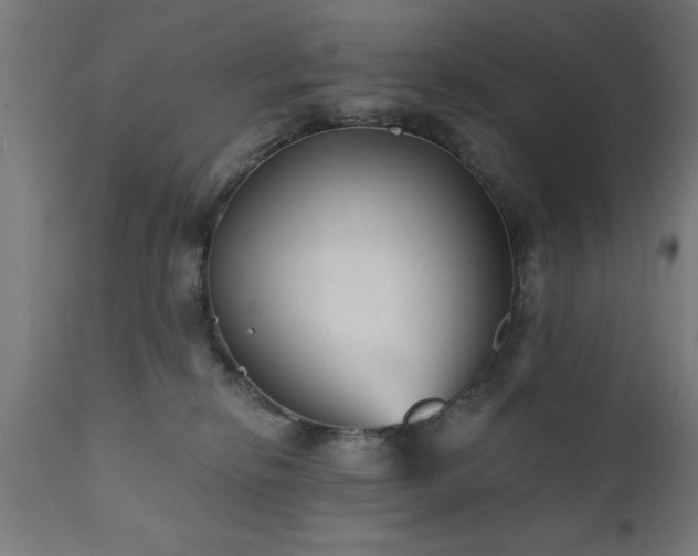 X0000111820278200907301304