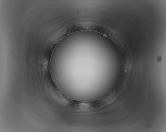 X0000111820279200907301304