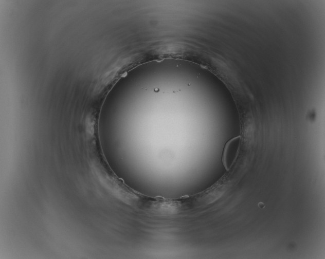 X0000111820282200907301304