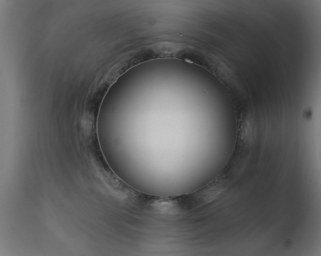 X0000111820283200907301304