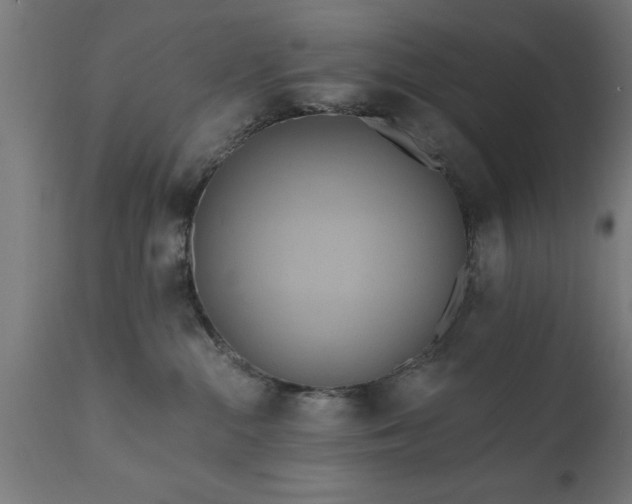 X0000111820284200907301304