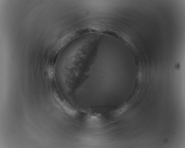 X0000111820285200907301304