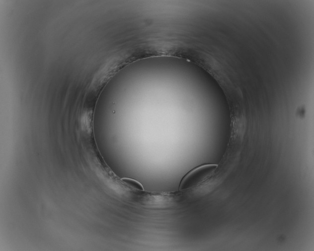 X0000111820286200907301304
