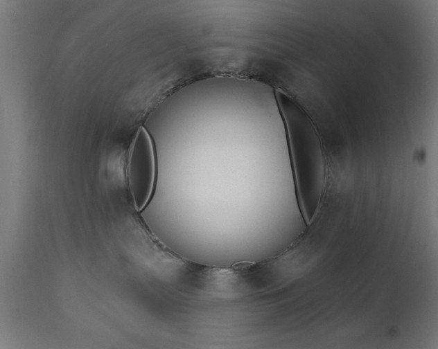 X0000111820287200907301304