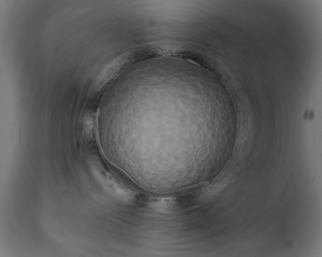 X0000111820288200907301304