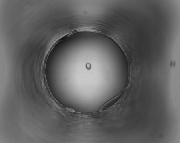 X0000111820289200907301303