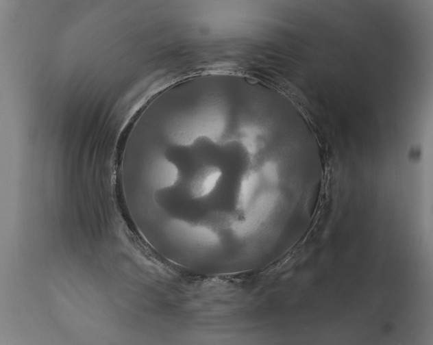 X0000111820290200907301303