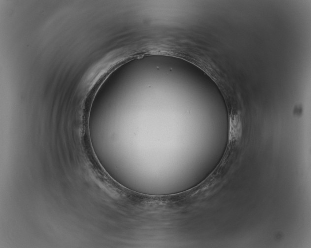 X0000111820291200907301303