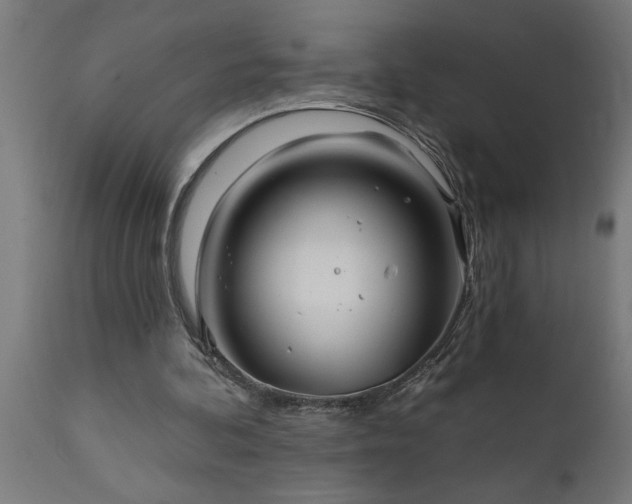 X0000111820292200907301303