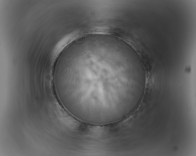 X0000111820293200907301303