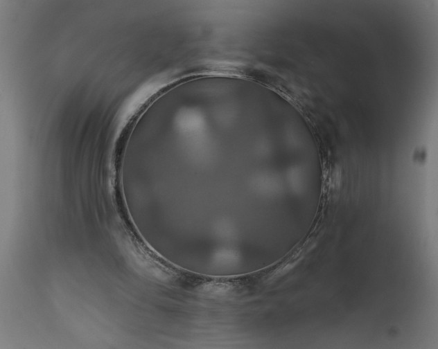 X0000111820294200907301303
