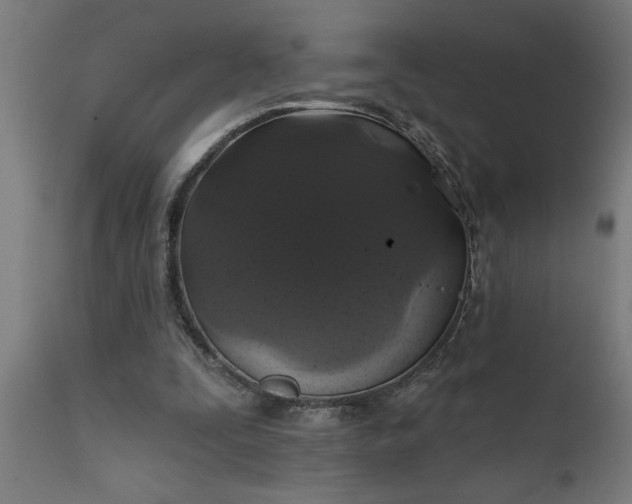 X0000111820295200907301303