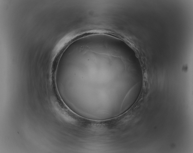 X0000111820296200907301303