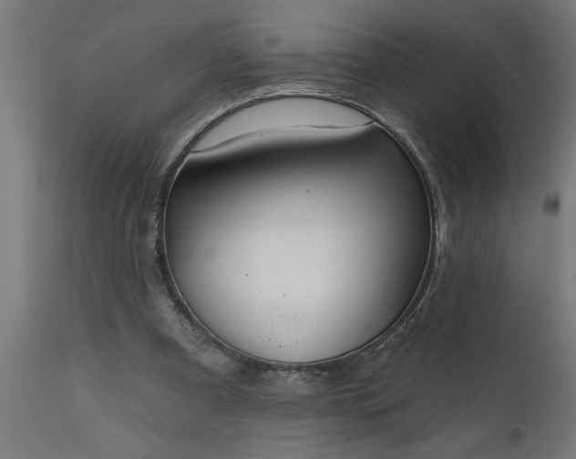 X0000111820297200907301303