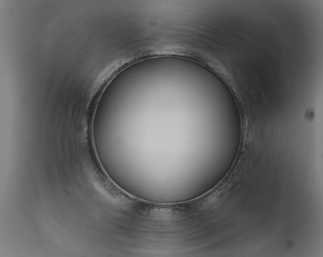 X0000111820298200907301303