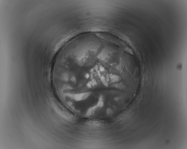 X0000111820299200907301303