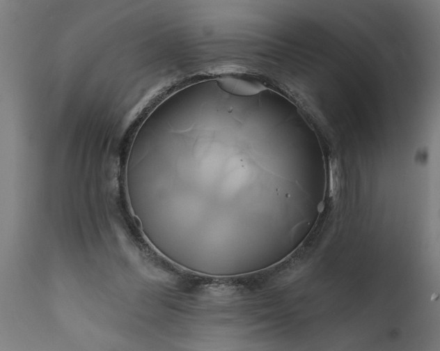 X0000111820300200907301303