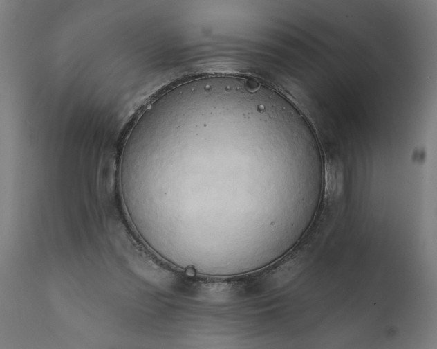 X0000111820301200907301303