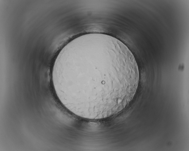 X0000111820302200907301303
