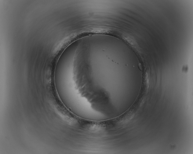 X0000111820303200907301303