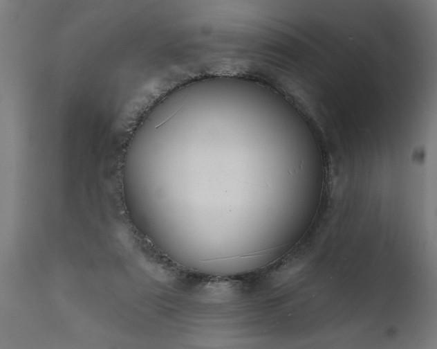 X0000111820307200907301303