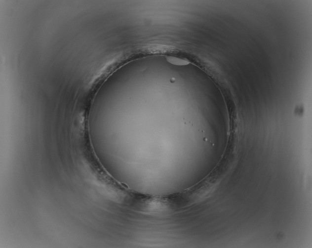X0000111820308200907301303