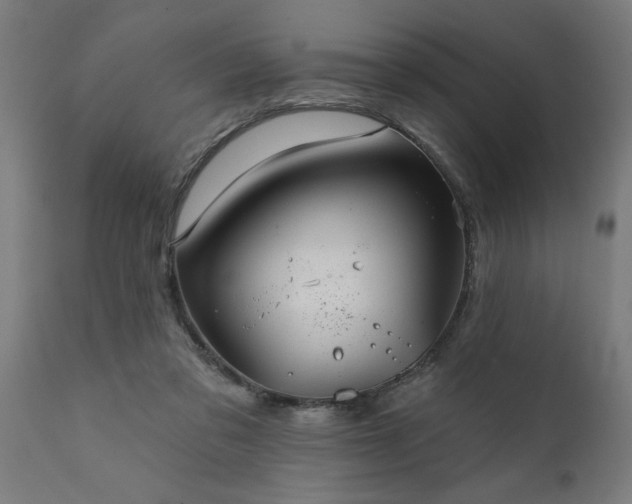X0000111820309200907301303