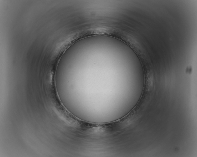 X0000111820310200907301303