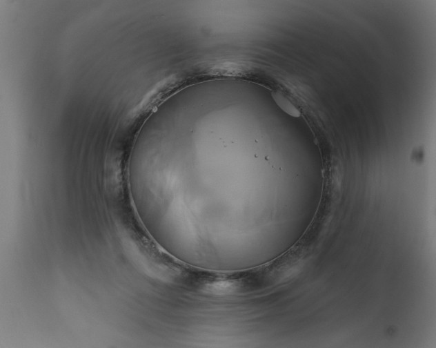 X0000111820312200907301303