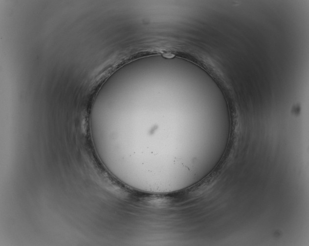 X0000111820313200907301303